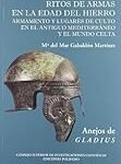 Análisis de las armas celtas: Descubre las mejores armas de la antigua cultura guerrera