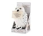 Hedwig en el universo de Harry Potter: El búho mensajero y su papel en la magia comparado con armas históricas y de ficción