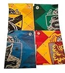 Análisis de la bandera de Harry Potter: ¿Una reliquia mágica o una simple arma decorativa?