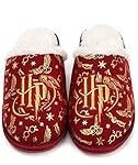 Análisis de las pantuflas mágicas de Harry Potter: ¿Arma secreta o simple comodidad?