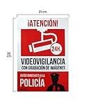Análisis de la Chapa Vigilante de Seguridad: Arma medieval única en su clase